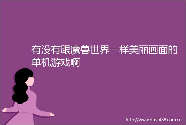 有没有跟魔兽世界一样美丽画面的单机游戏啊