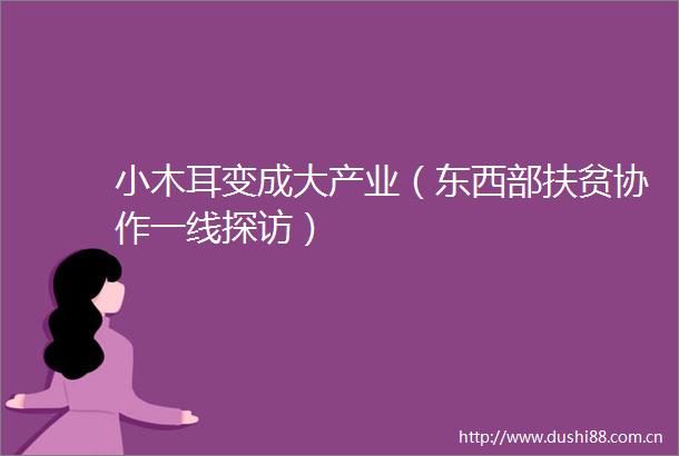 小木耳变成大产业（东西部扶贫协作一线探访）
