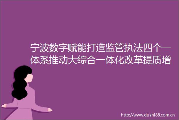 宁波数字赋能打造监管四个一体系推动大综合一体化改革提质增效