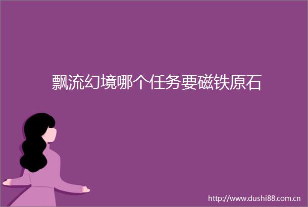 飘流幻境哪个任务要磁铁原石