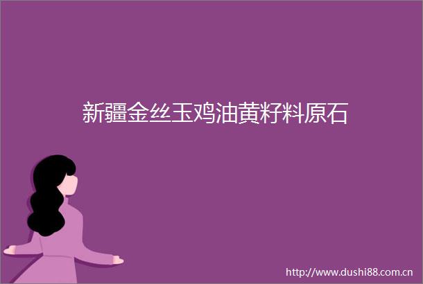 新疆金丝玉鸡油黄籽料原石