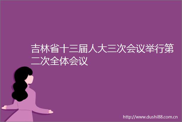 吉林省十三届人大三次会议举行第二次全体会议