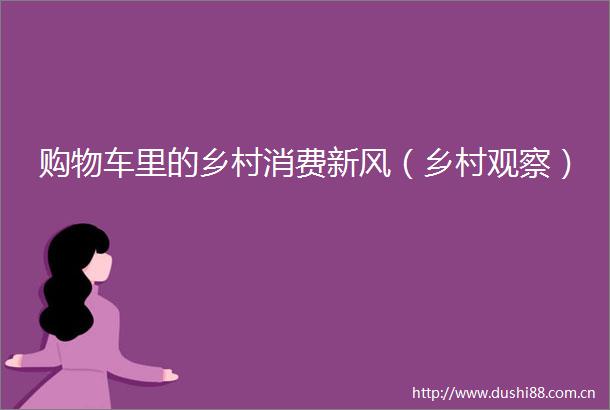 购物车里的乡村消费新风（乡村观察）