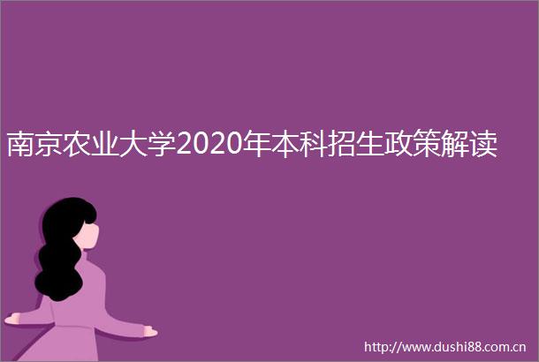 南京农业大学2020年本科招生政策解读