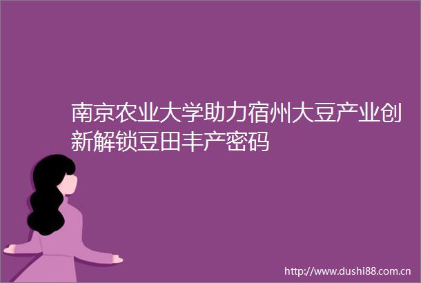 南京农业大学助力宿州大豆产业创新解锁豆田丰产密码