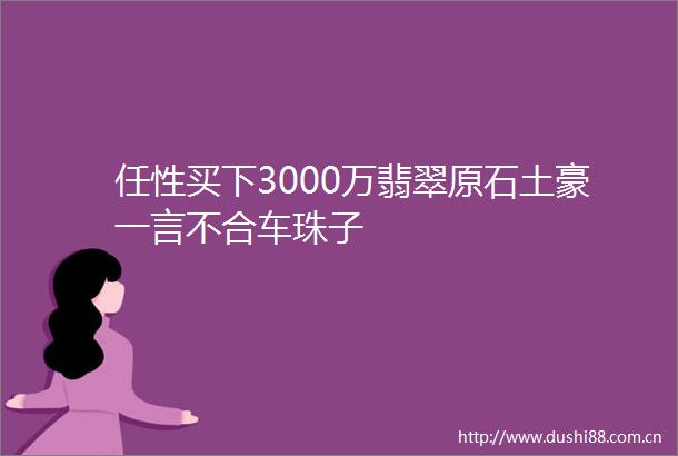 任性买下3000万翡翠原石土豪一言不合车珠子