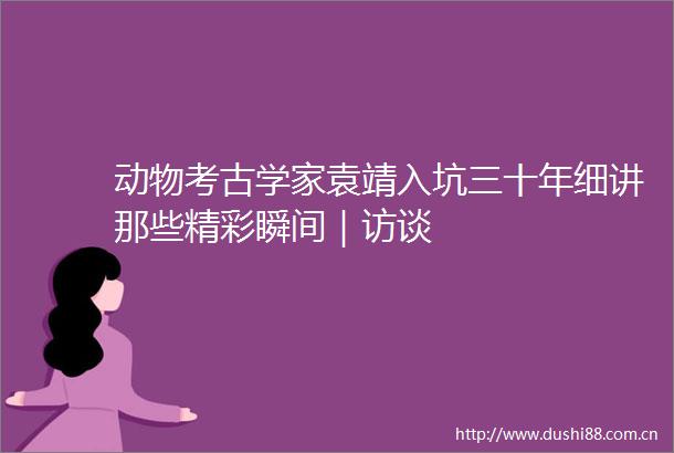 动物考古学家袁靖入坑三十年细讲那些精彩瞬间｜访谈