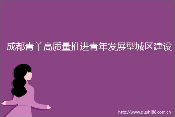 成都青羊高质量推进青年发展型城区建设