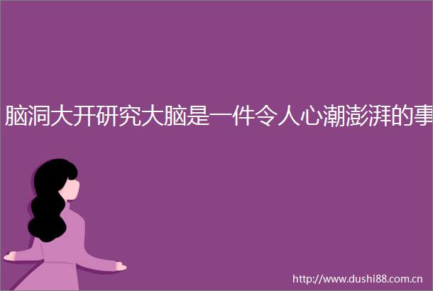 脑洞大开研究大脑是一件令人心潮澎湃的事