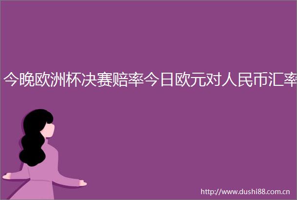 今晚欧洲杯决赛赔率今日欧元对币汇率