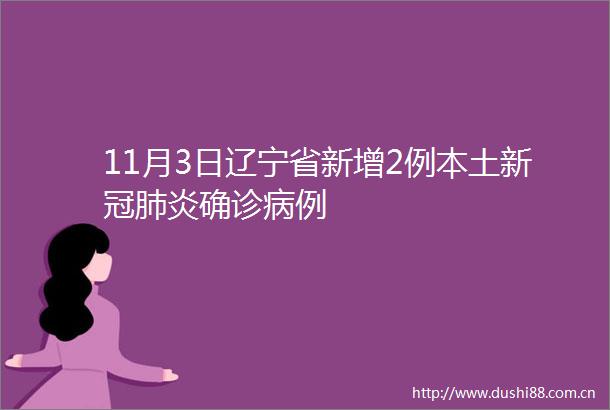 11月3日辽宁省新增2例本土新冠肺炎确诊病例