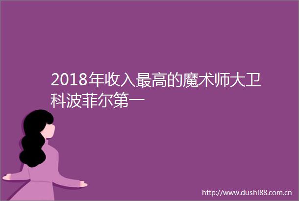 2018年收入最高的魔术师大卫科波菲尔第一