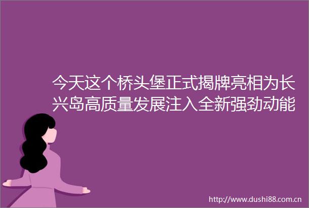 今天这个桥头堡正式揭牌亮相为长兴岛高质量发展注入全新强劲动能