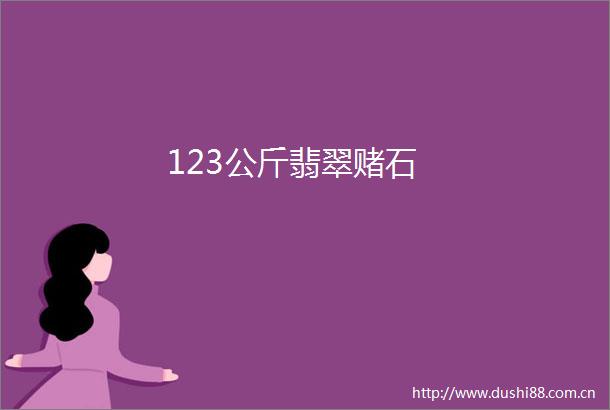 123公斤翡翠赌石