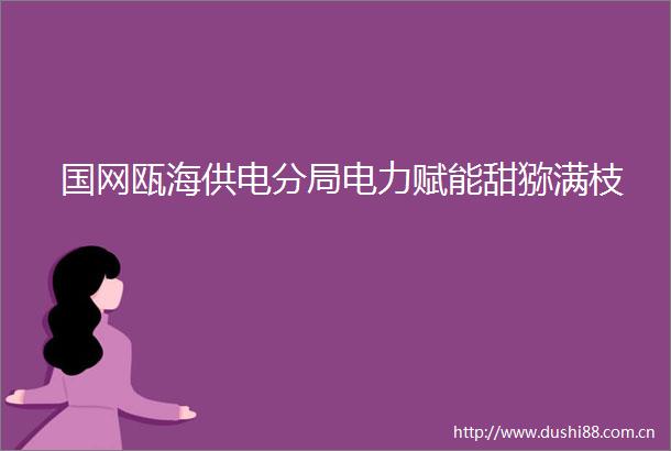 国网瓯海供电分局电力赋能甜猕满枝
