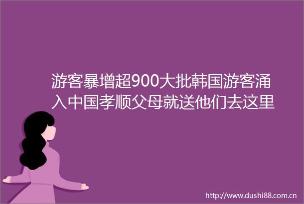 游客暴增超900大批韩国游客涌入孝顺父母就送他们去这里