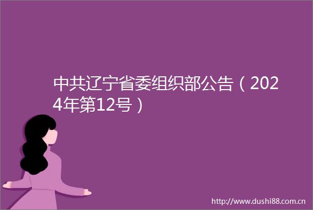 辽宁省委组织部公告（2024年第12号）