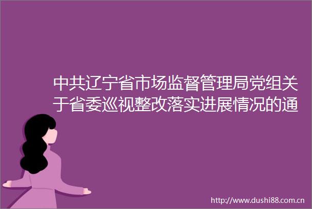 辽宁省市场监督管理局党组关于省委巡视整改落实进展情况的通报