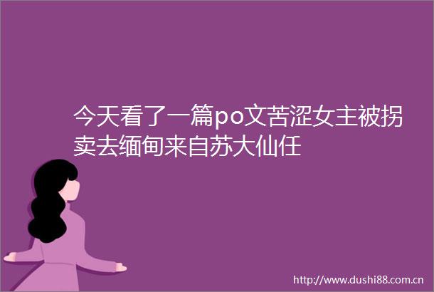 今天看了一篇po文苦涩女主被拐卖去缅甸来自苏大仙任
