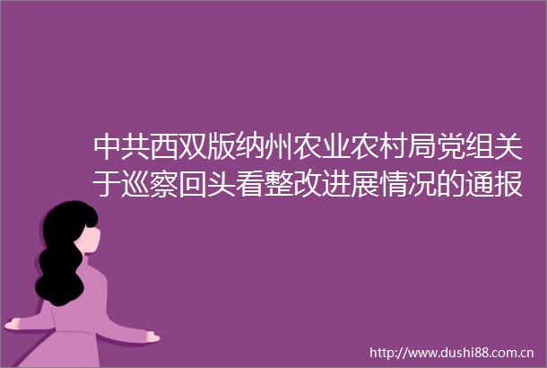 西双版纳州农业农村局党组关于巡察回头看整改进展情况的通报