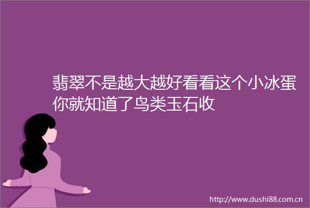 翡翠不是越大越好看看这个小冰蛋你就知道了鸟类玉石收