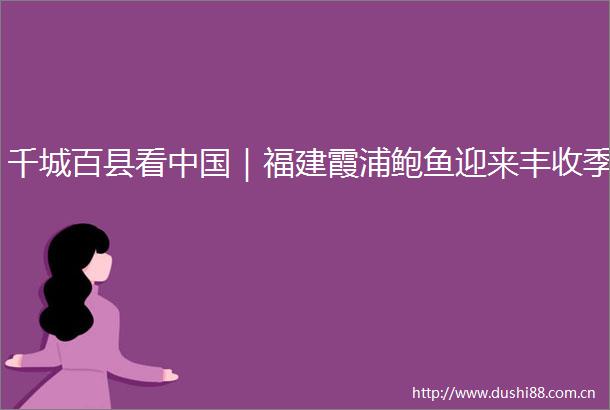 千城百县看｜福建霞浦鲍鱼迎来丰收季