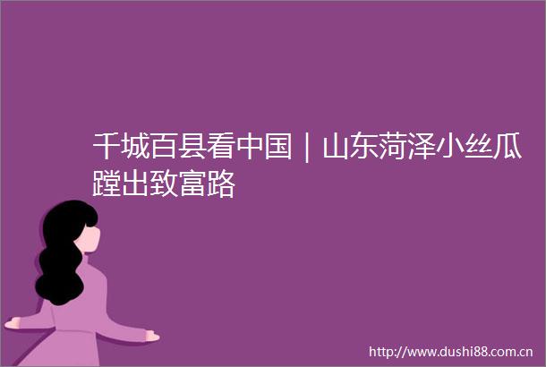千城百县看｜山东菏泽小丝瓜蹚出致富路