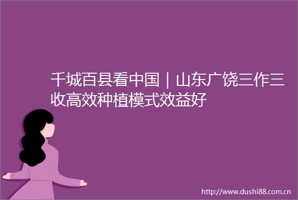 千城百县看｜山东广饶三作三收高效种植模式效益好