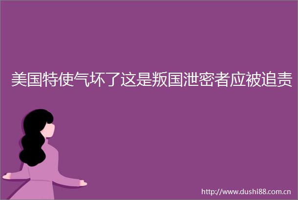 美国特使气坏了这是叛国泄密者应被追责