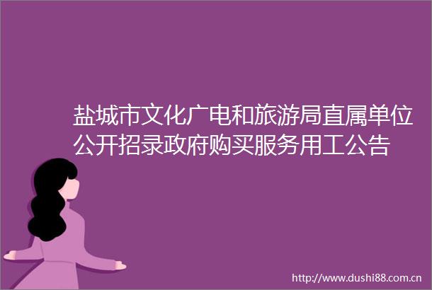 盐城市文化广电和旅游局直属单位公开招录购买服务用工公告