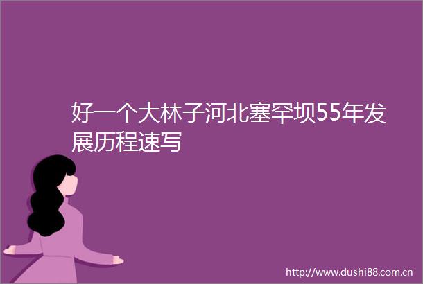 好一个大林子河北塞罕坝55年发展历程速写