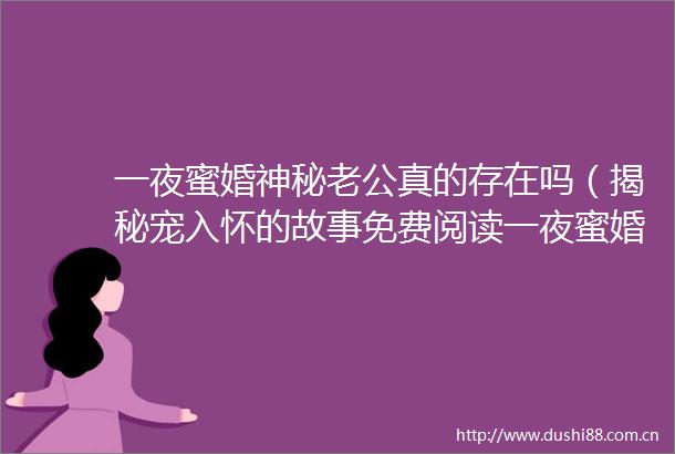 一夜蜜婚神秘老公真的存在吗（揭秘宠入怀的故事免费阅读一夜蜜婚神秘老公）