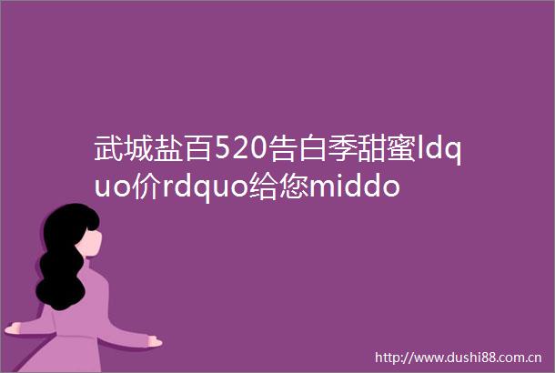武城盐百520告白季甜蜜ldquo价rdquo给您middotmiddotmiddotmiddotmiddotmiddotmiddot
