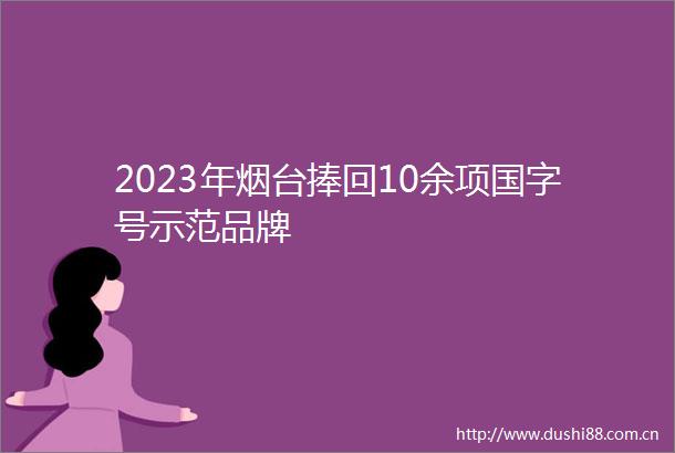 2023年烟台捧回10余项国字号示范品牌