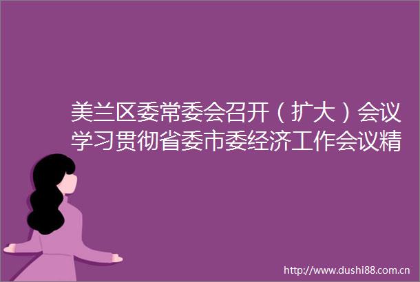 美兰区委常委会召开（扩大）会议学习贯彻省委市委经济工作会议精神