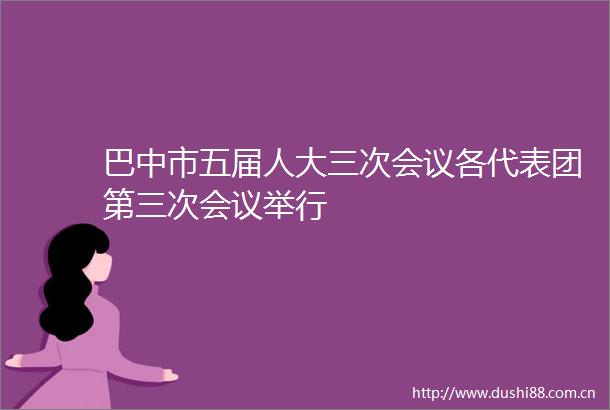 巴中市五届人大三次会议各代表团第三次会议举行