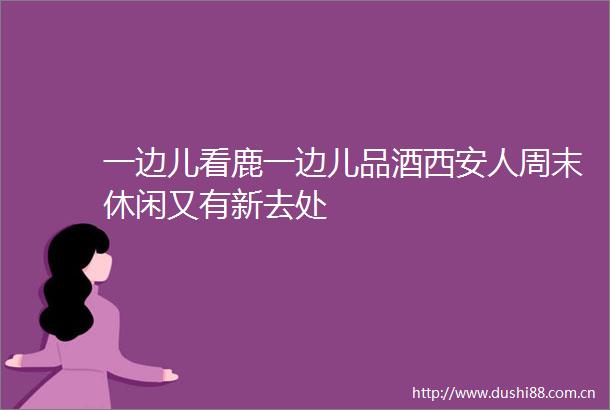 一边儿看鹿一边儿品酒西安人周末休闲又有新去处