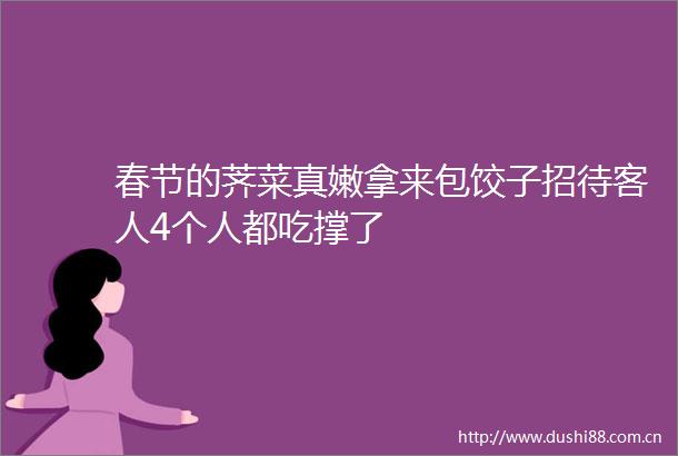 春节的荠菜真嫩拿来包饺子招待客人4个人都吃撑了