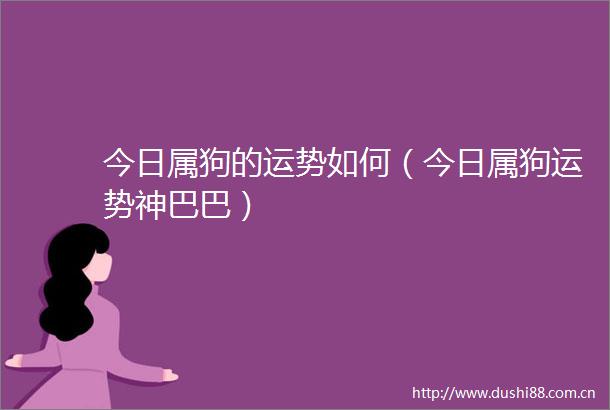 今日属狗的运势如何（今日属狗运势神巴巴）