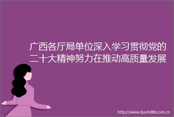 广西各厅局单位深入学习贯彻党的二十大精神努力在推动高质量发展上展现更大作为