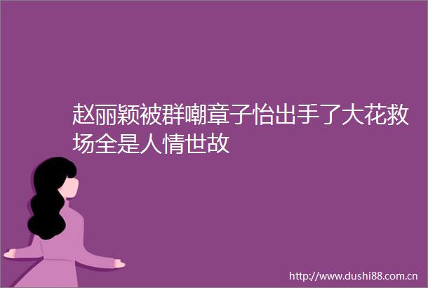 赵丽颖被群嘲章子怡出手了大花救场全是人情世故