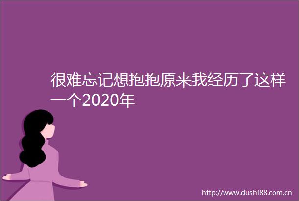 很难忘记想抱抱原来我经历了这样一个2020年