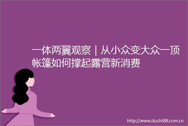 一体两翼观察｜从小众变大众一顶帐篷如何撑起露营新消费