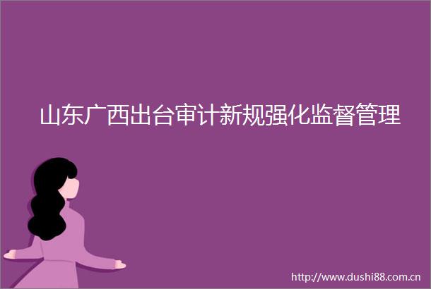 山东广西出台审计新规强化监督管理