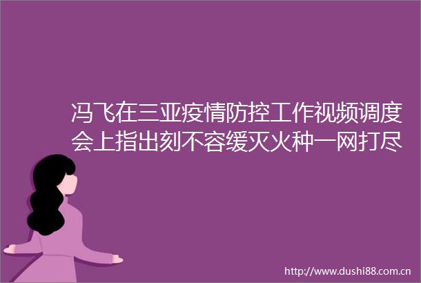 冯飞在三亚疫情防控工作视频调度会上指出刻不容缓灭火种一网打尽风险源