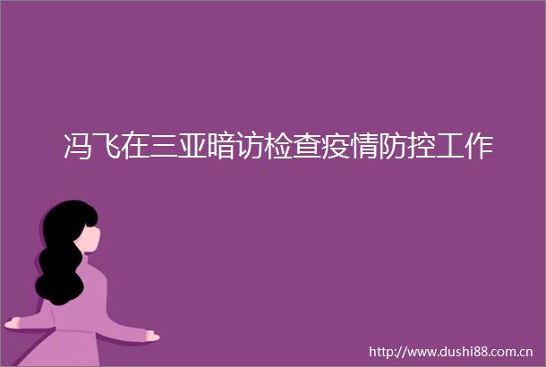 冯飞在三亚暗访检查疫情防控工作
