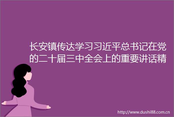 长安镇传达学习总书记在党的二十届三中全会上的重要讲话精神和全会精神