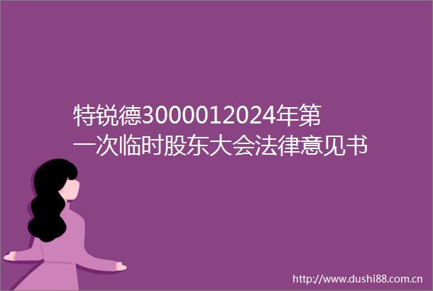 特锐德3000012024年第一次临时股东大会意见书