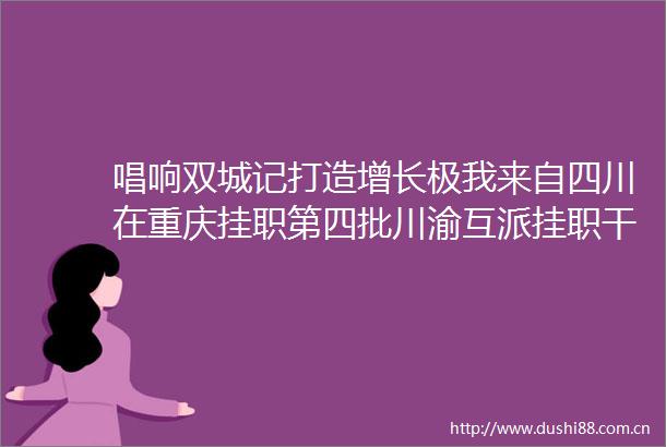 唱响双城记打造增长极我来自四川在重庆挂职第四批川渝互派挂职履职故事