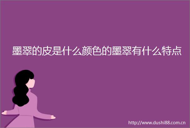 墨翠的皮是什么颜色的墨翠有什么特点